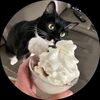 coachbadkitty